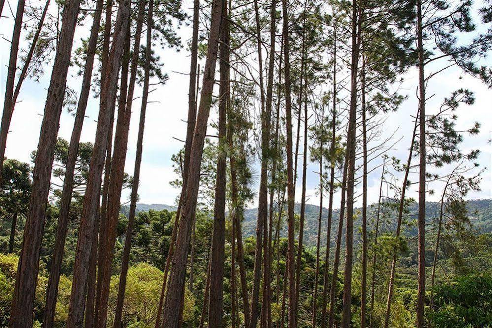 Pousada Campos Verde Campos do Jordão Extérieur photo